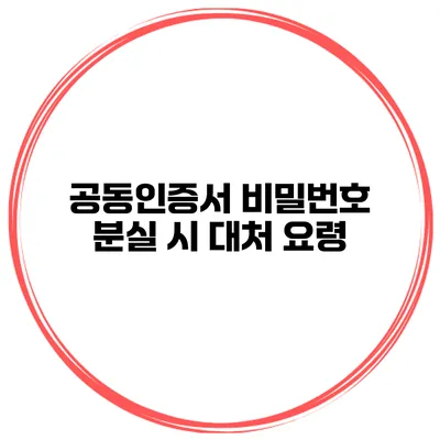 공동인증서 비밀번호 분실 시 대처 요령