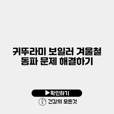 귀뚜라미 보일러 겨울철 동파 문제 해결하기
