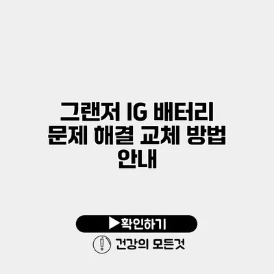 그랜저 IG 배터리 문제 해결 교체 방법 안내