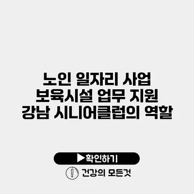 노인 일자리 사업 보육시설 업무 지원 강남 시니어클럽의 역할