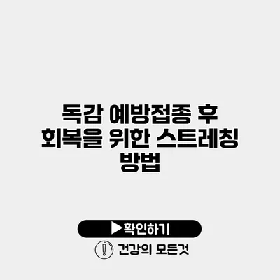 독감 예방접종 후 회복을 위한 스트레칭 방법