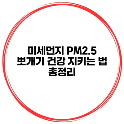 미세먼지 PM2.5 뽀개기 건강 지키는 법 총정리