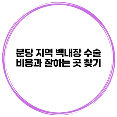 분당 지역 백내장 수술 비용과 잘하는 곳 찾기