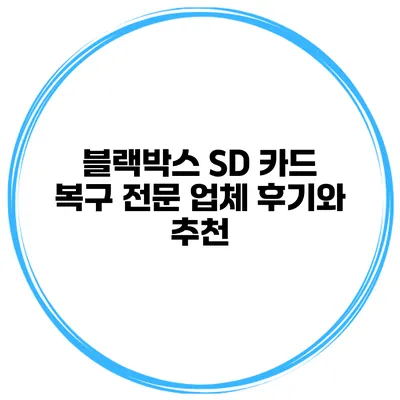 블랙박스 SD 카드 복구 전문 업체 후기와 추천