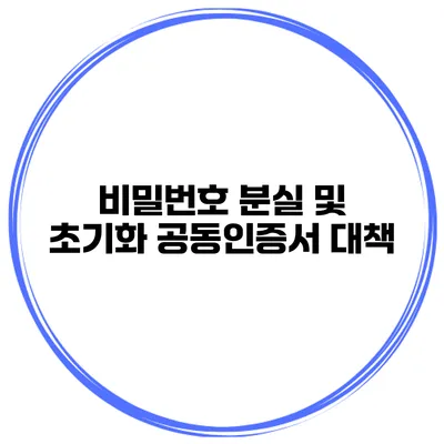 비밀번호 분실 및 초기화 공동인증서 대책