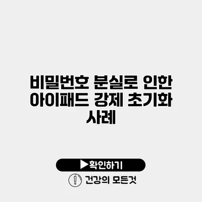 비밀번호 분실로 인한 아이패드 강제 초기화 사례