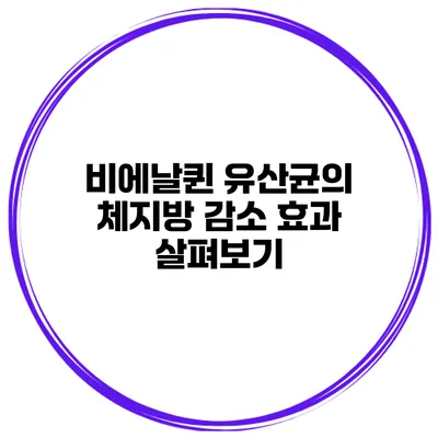 비에날퀸 유산균의 체지방 감소 효과 살펴보기