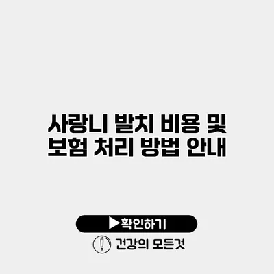 사랑니 발치 비용 및 보험 처리 방법 안내