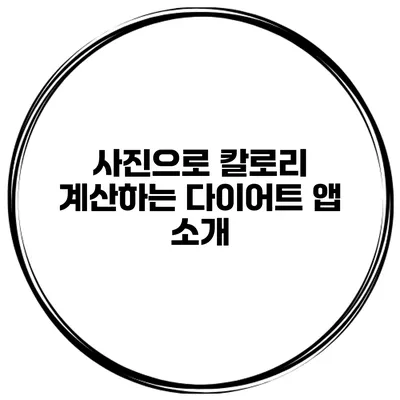 사진으로 칼로리 계산하는 다이어트 앱 소개