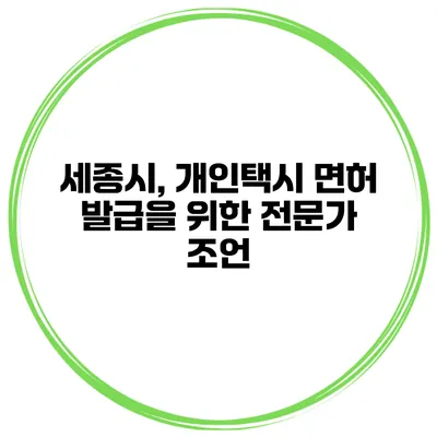 세종시, 개인택시 면허 발급을 위한 전문가 조언