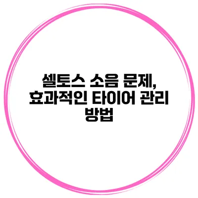 셀토스 소음 문제, 효과적인 타이어 관리 방법