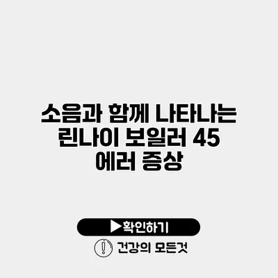 소음과 함께 나타나는 린나이 보일러 45 에러 증상