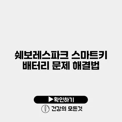쉐보레스파크 스마트키 배터리 문제 해결법