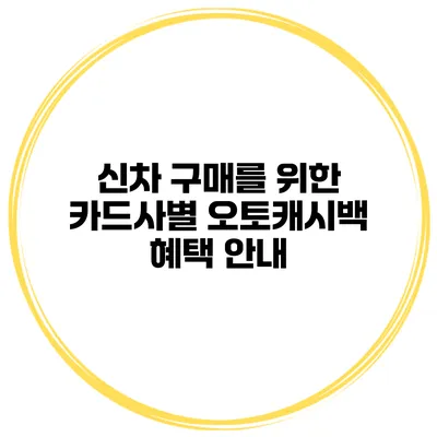 신차 구매를 위한 카드사별 오토캐시백 혜택 안내