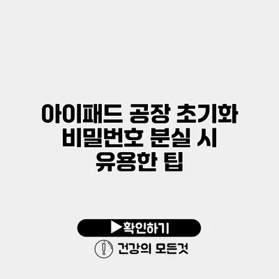 아이패드 공장 초기화 비밀번호 분실 시 유용한 팁