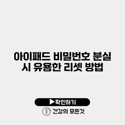 아이패드 비밀번호 분실 시 유용한 리셋 방법