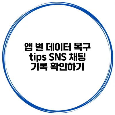 앱 별 데이터 복구 tips SNS 채팅 기록 확인하기