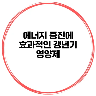 에너지 증진에 효과적인 갱년기 영양제