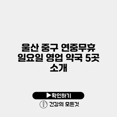 울산 중구 연중무휴 일요일 영업 약국 5곳 소개