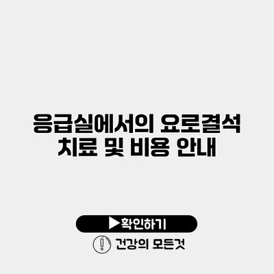 응급실에서의 요로결석 치료 및 비용 안내