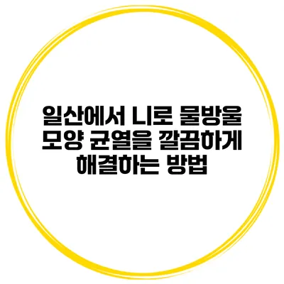 일산에서 니로 물방울 모양 균열을 깔끔하게 해결하는 방법