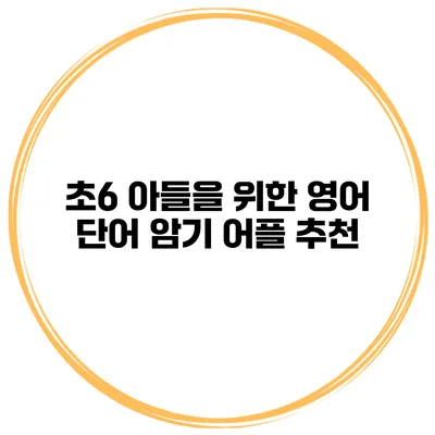 초6 아들을 위한 영어 단어 암기 어플 추천