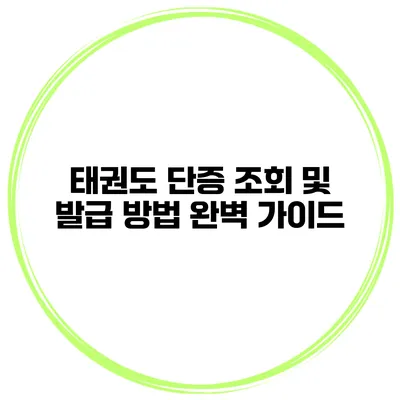 태권도 단증 조회 및 발급 방법 완벽 가이드