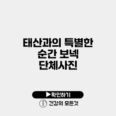 태산과의 특별한 순간 보넥 단체사진