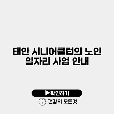 태안 시니어클럽의 노인 일자리 사업 안내