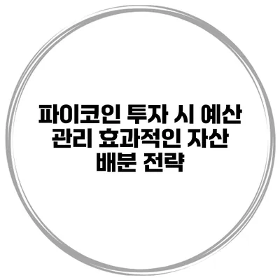 파이코인 투자 시 예산 관리 효과적인 자산 배분 전략