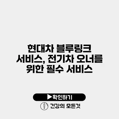 현대차 블루링크 서비스, 전기차 오너를 위한 필수 서비스