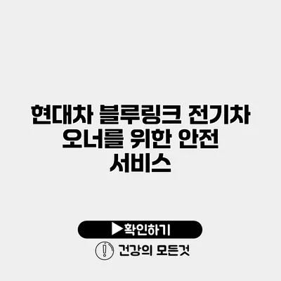 현대차 블루링크 전기차 오너를 위한 안전 서비스